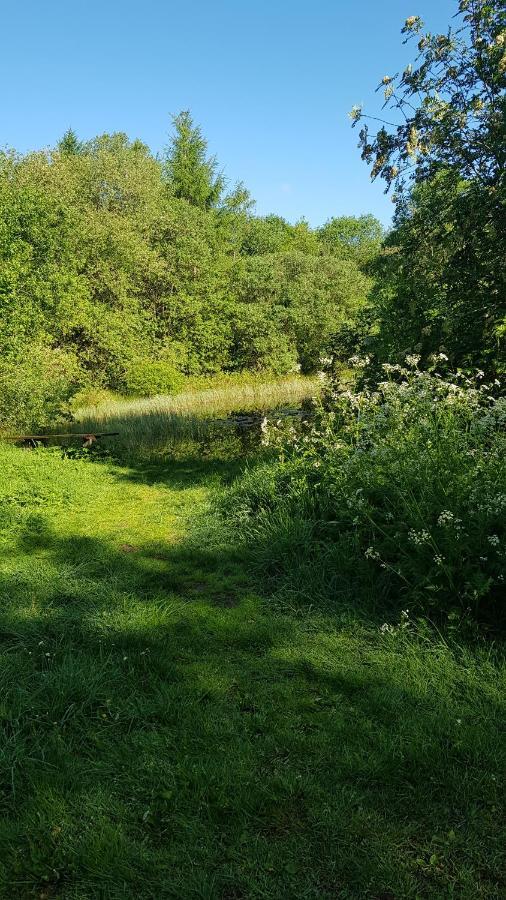 Basic Ingerichte Vouwwagen Op Camping Westenenk, Wijster Exterior foto